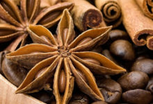 Photo of Бадьян свойства